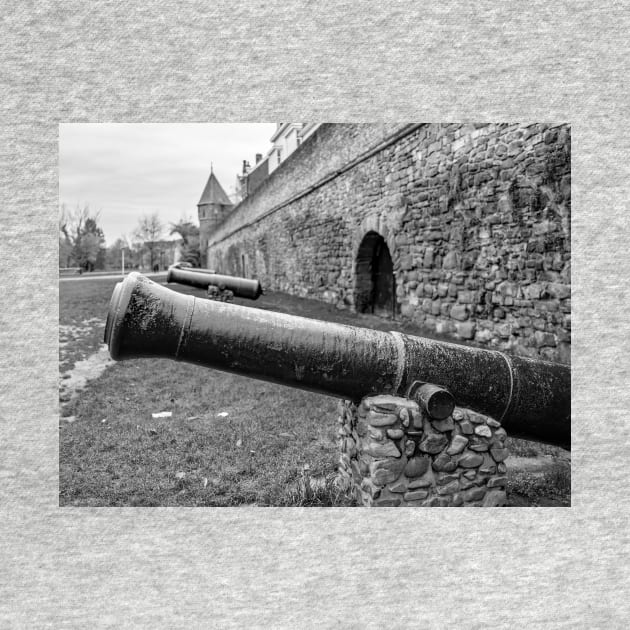 Row of Canons in the Dutch city of Maastricht by yackers1